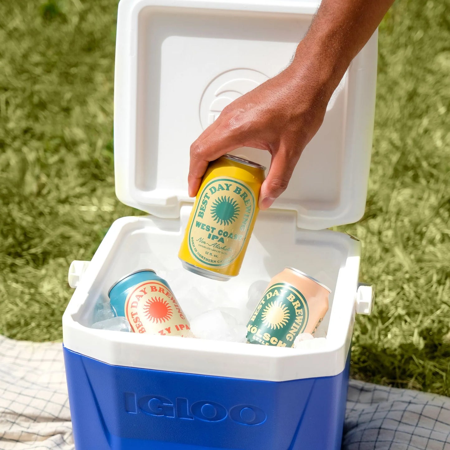 Best Day Brewing West Coast IPA